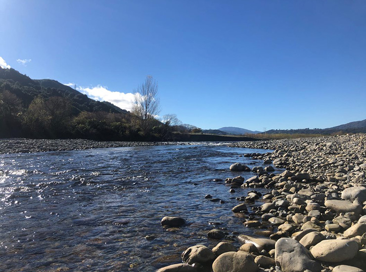 A spotlight on New Zealand's proposed National Environmental Standards for Freshwater