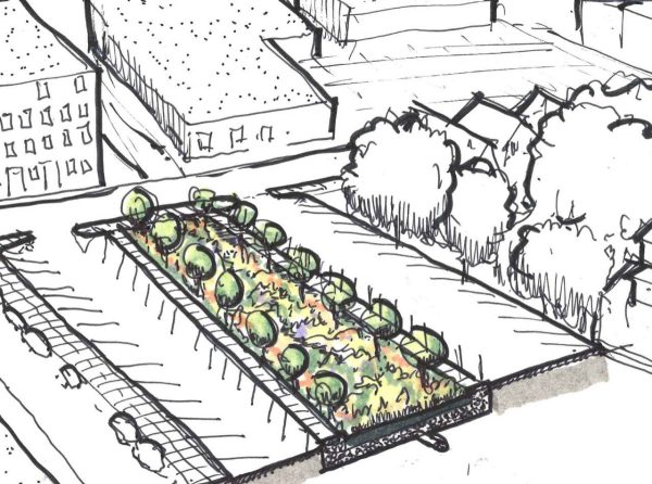 Sketch of a street showing a community planting area
