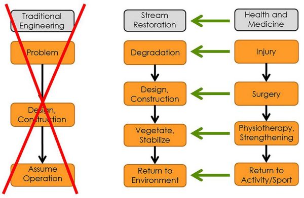 Chart outlining the alignment of stream restoration with medicine.