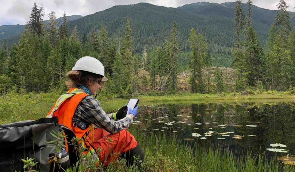 Woman on tablet outside analyzing environmental samples