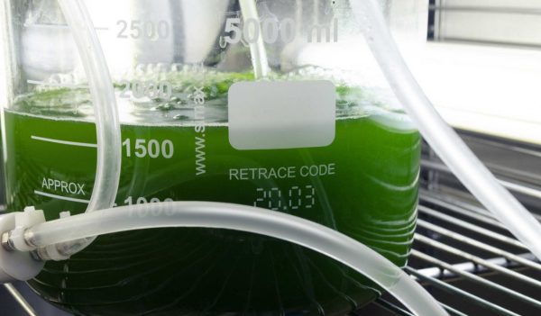 Close-up of lab beaker with liquid green hydrogen.