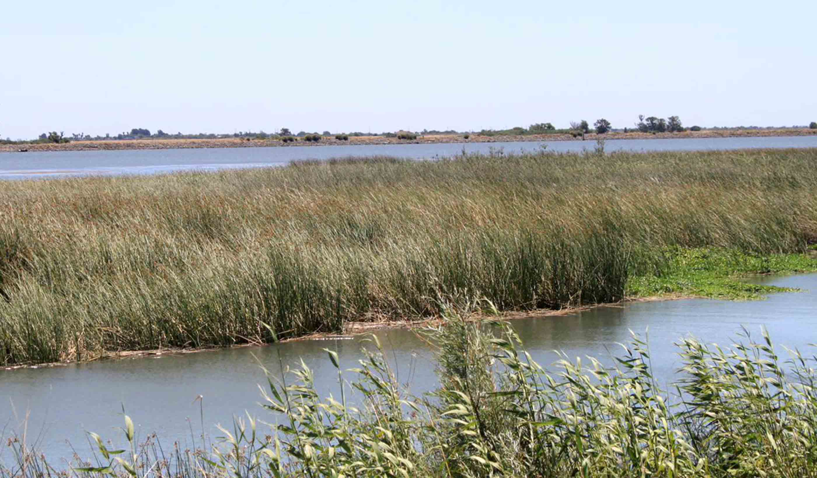 An in-depth look at the new leader of the Delta Stewardship Council as published in The Water Report