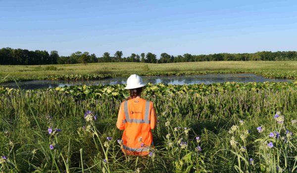 Stantec staff member standing in the open field near a pond